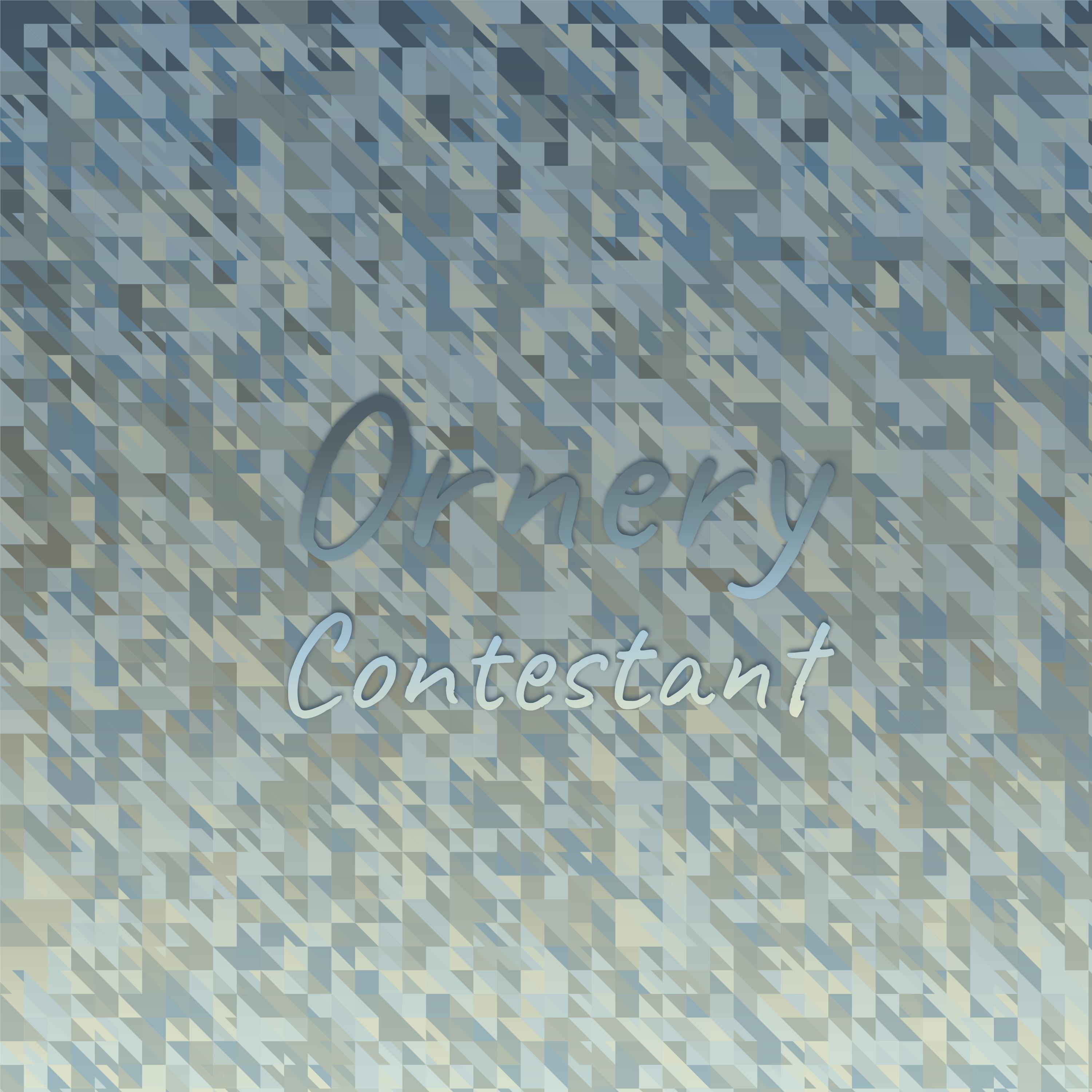 Roben Wesn - Ornery Contestant