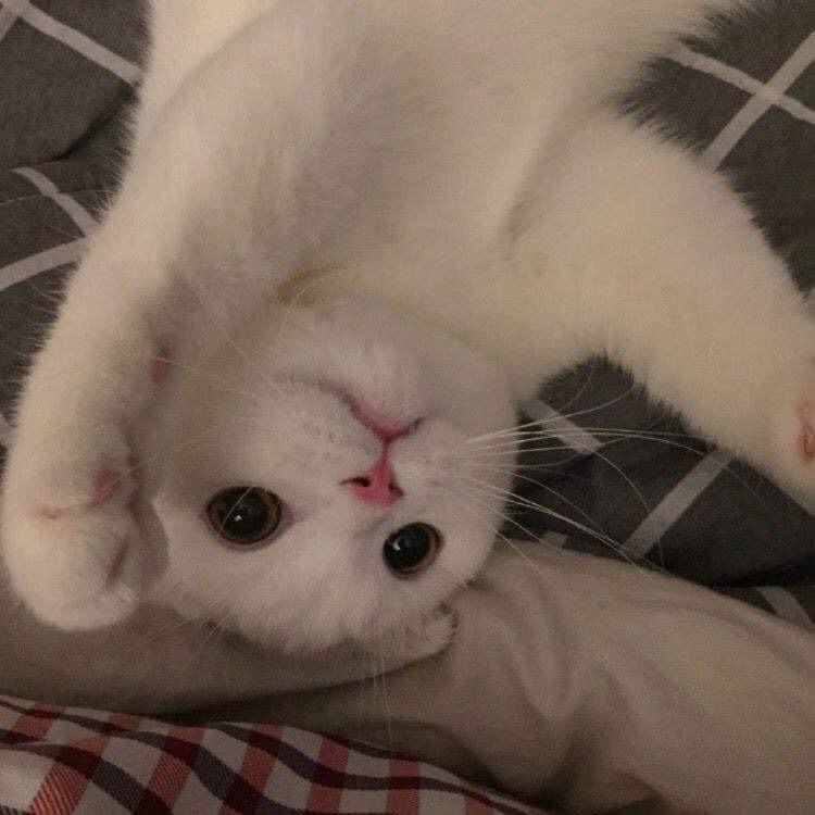 哎哟