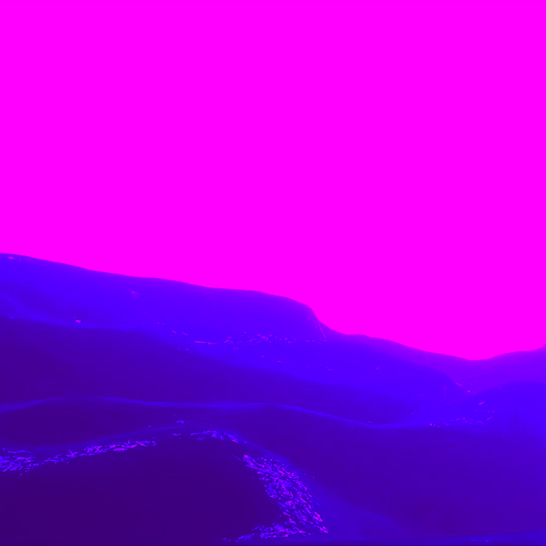 蝶恋花DEVOILEE