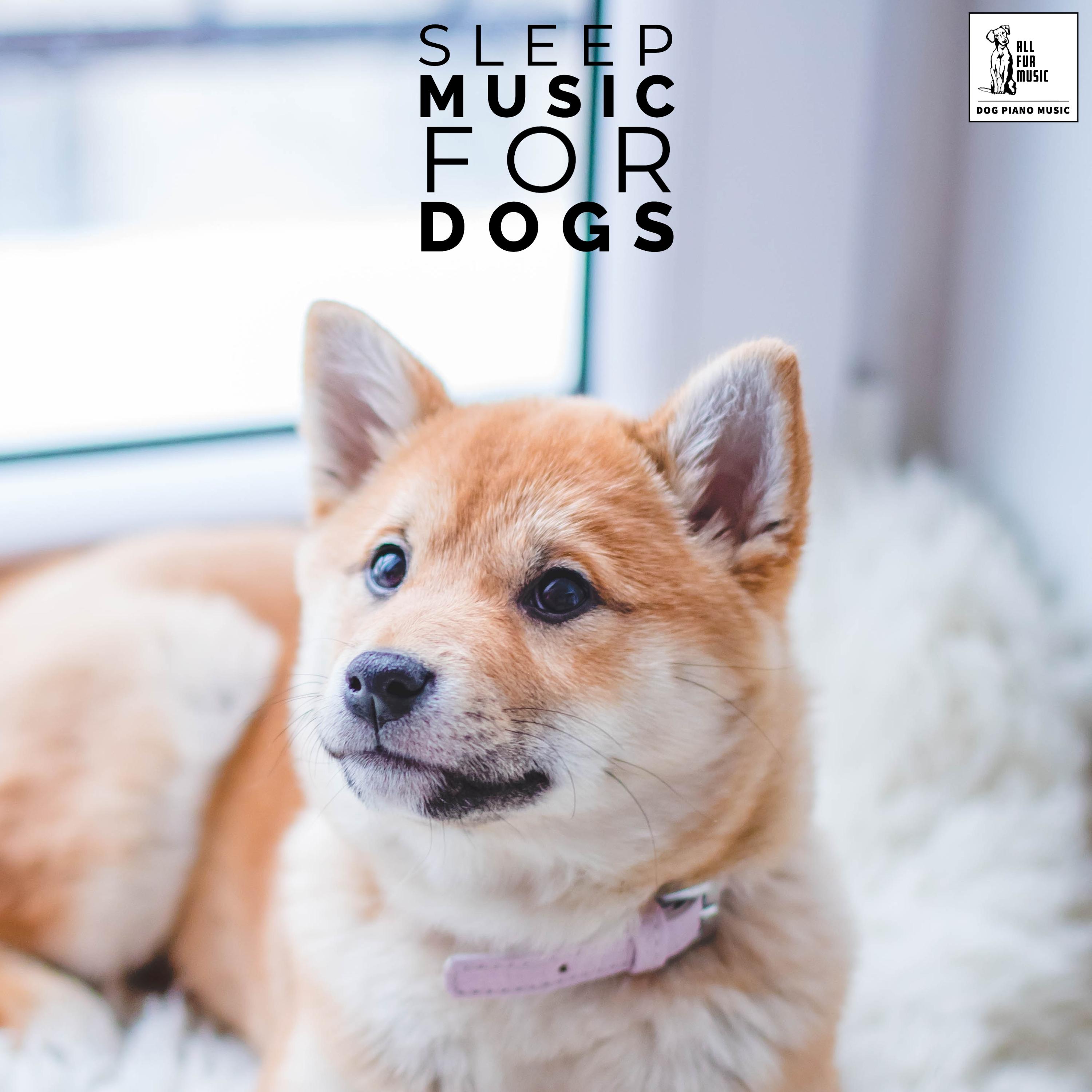 Sleep Music For Dogs