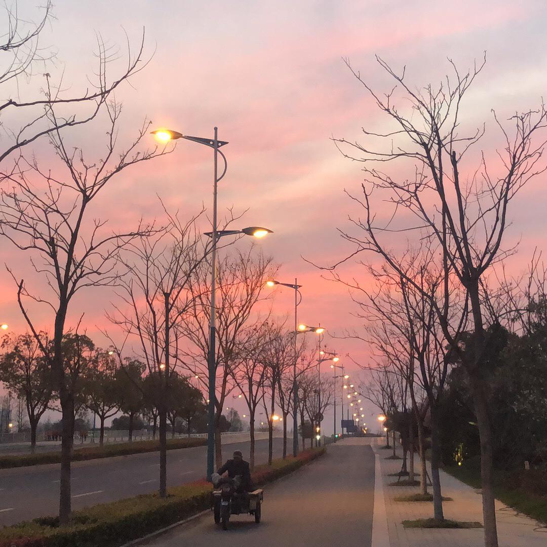 长兴中路8号