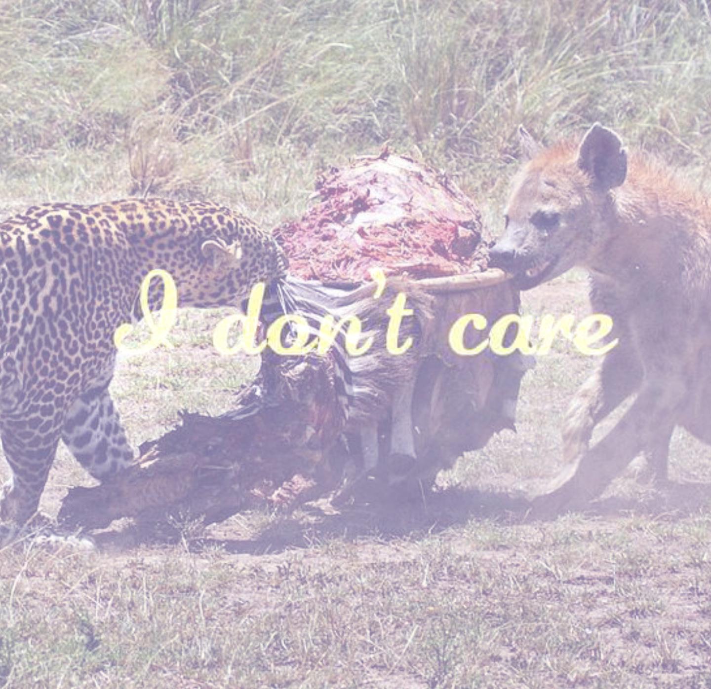 I Don't Care！！！专辑