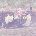 I Don't Care！！！