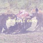 I Don't Care！！！专辑