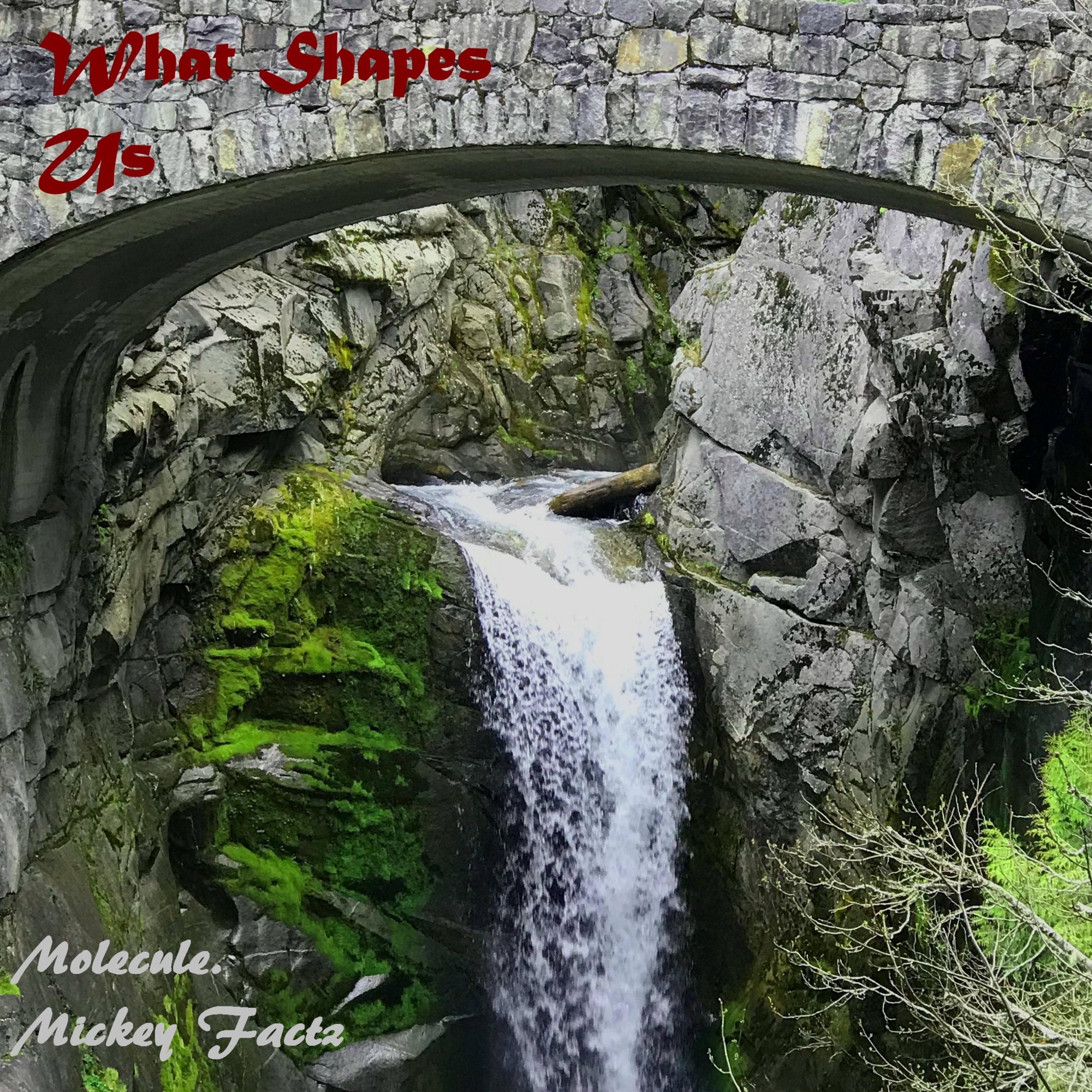 What Shapes Us (feat. Mickey Factz)