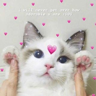 情话Rap丨你这里❤欠我的用什么还