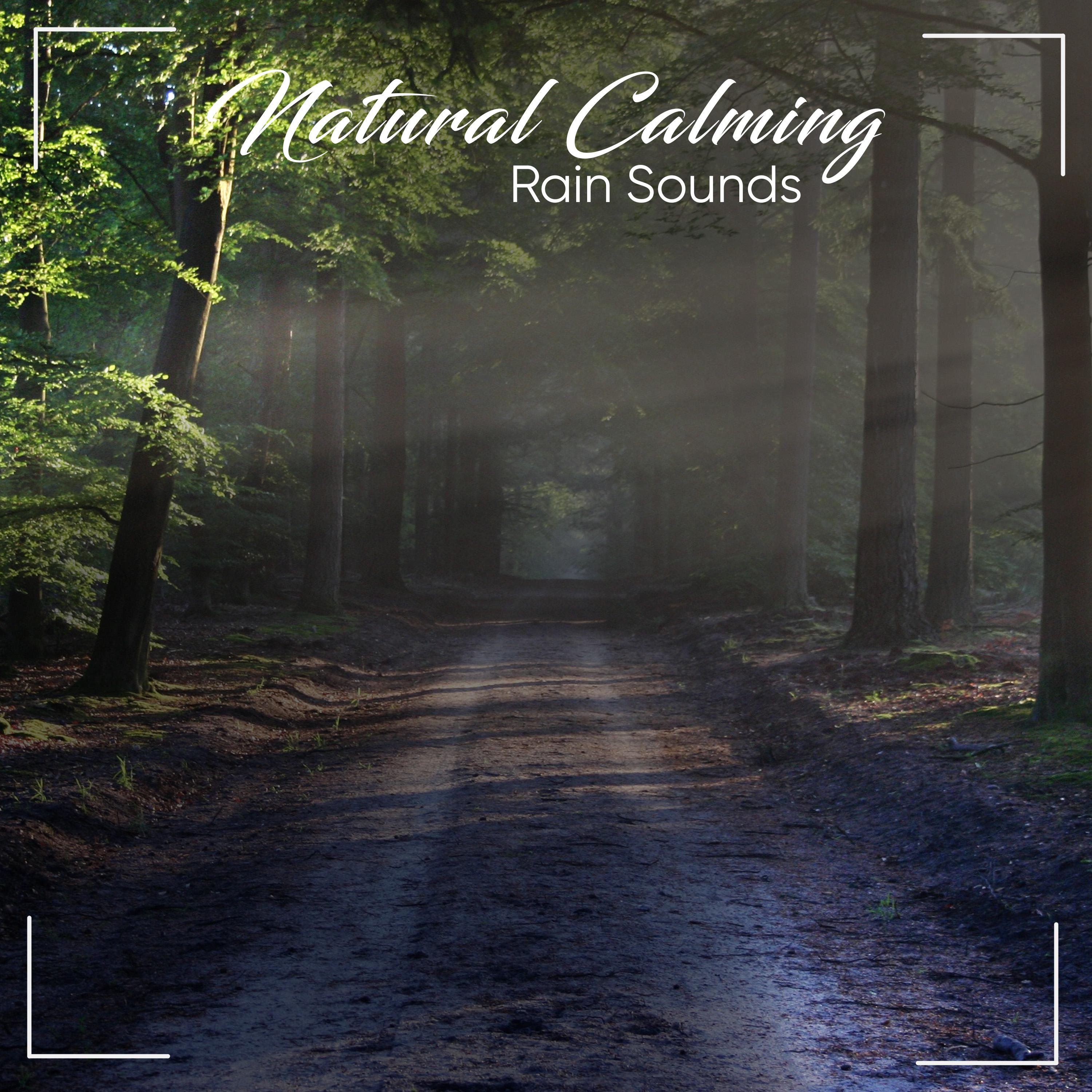 #14 Natural, Calming Rain Sounds for Ultimate Relaxation专辑