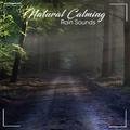 #14 Natural, Calming Rain Sounds for Ultimate Relaxation