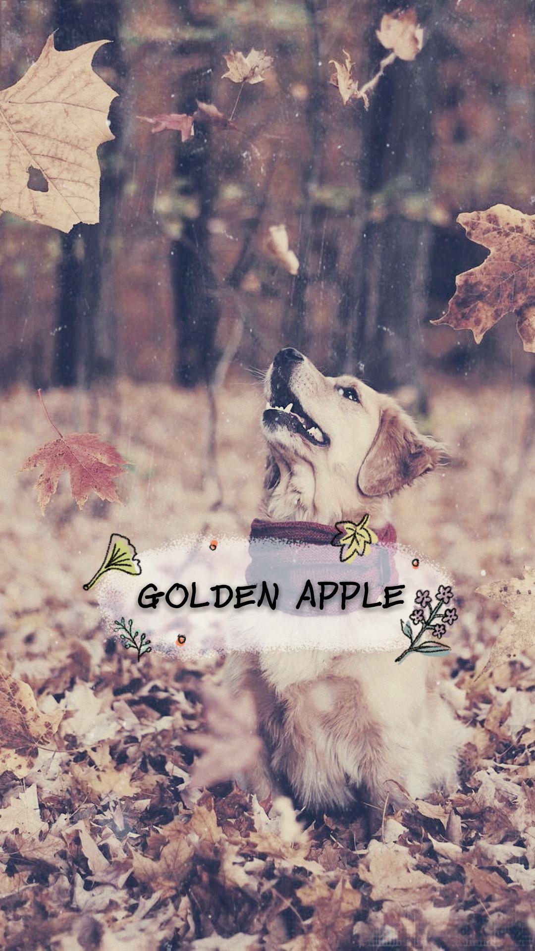 GOLDEN APPLE专辑