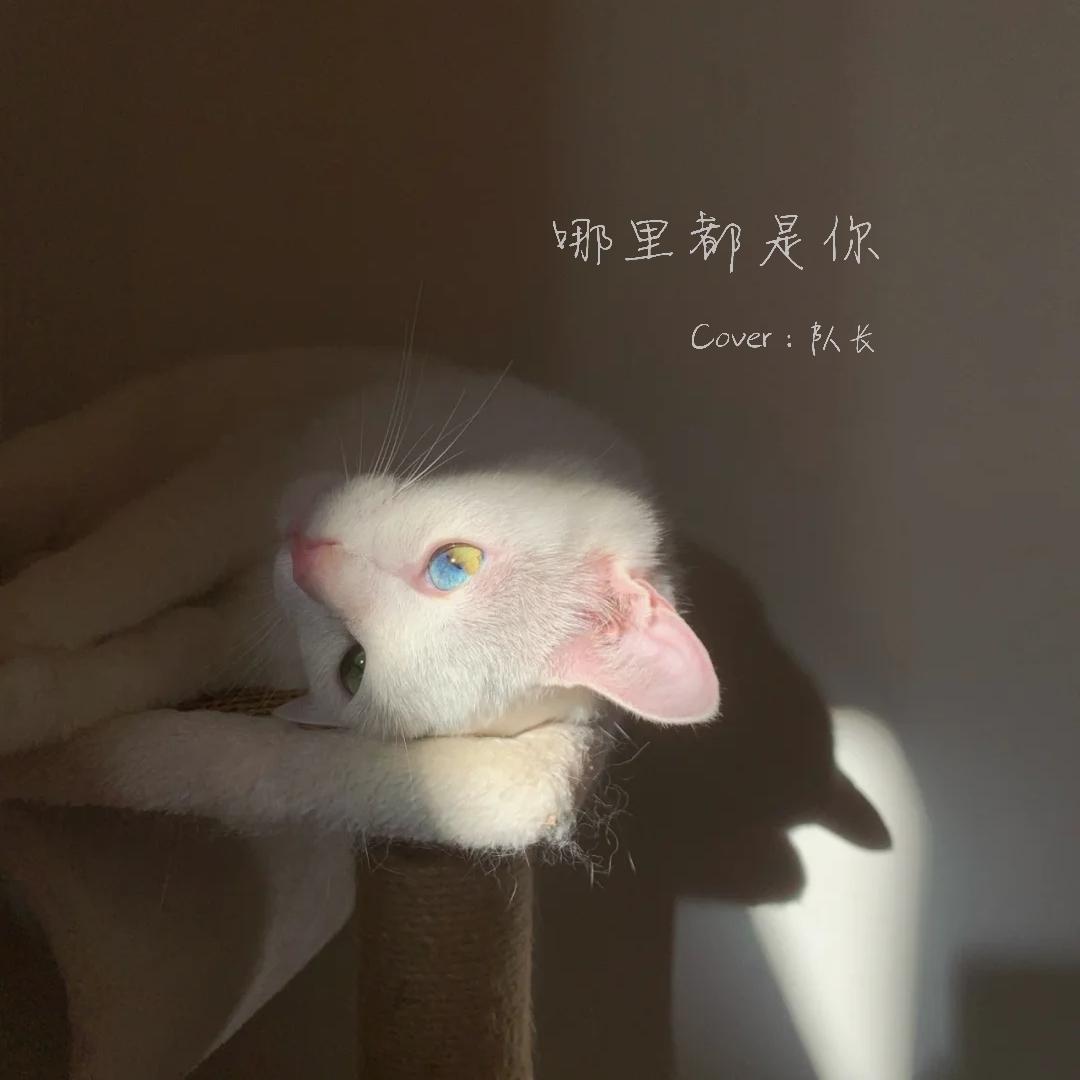 哪里都是你