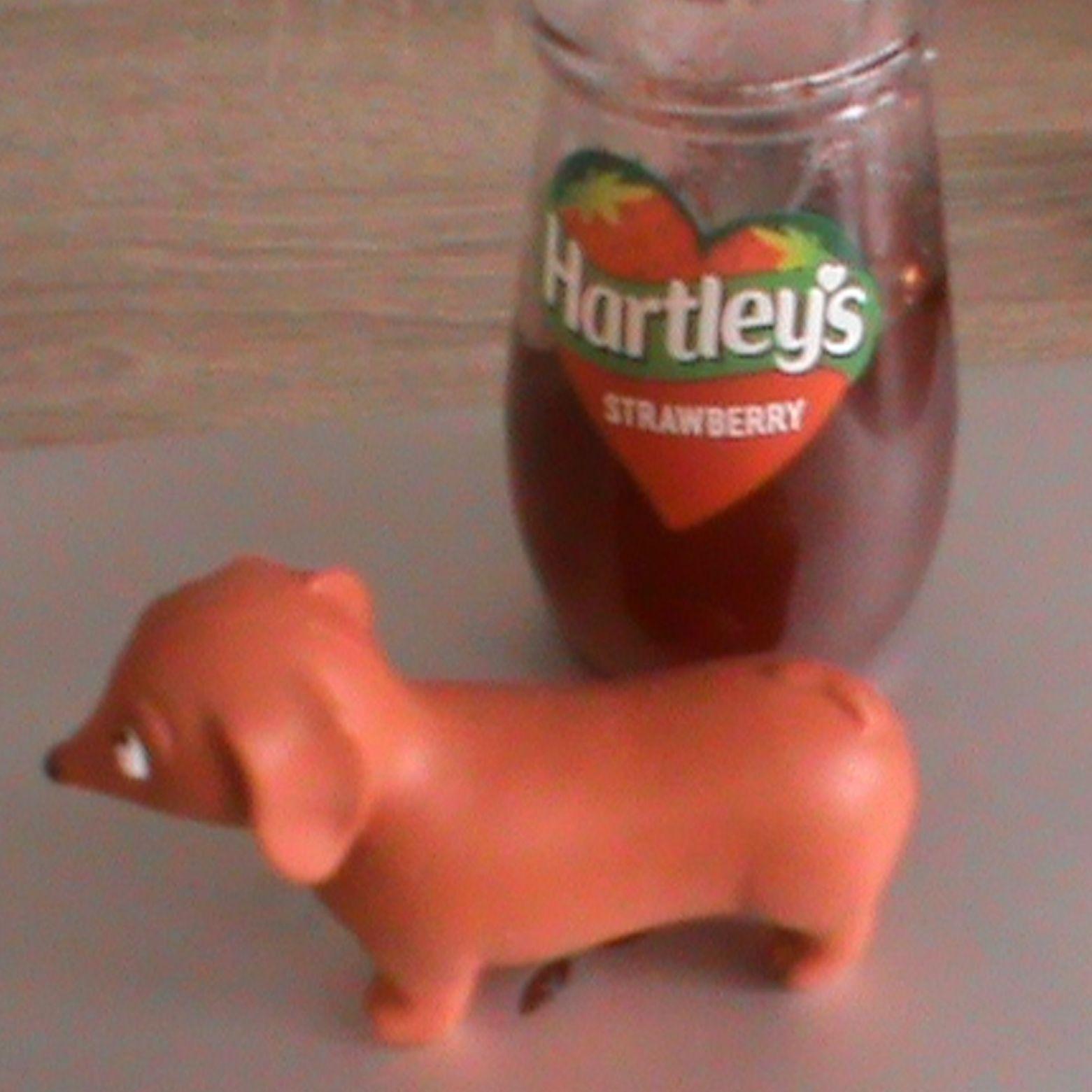 白罗斯猪太扫了