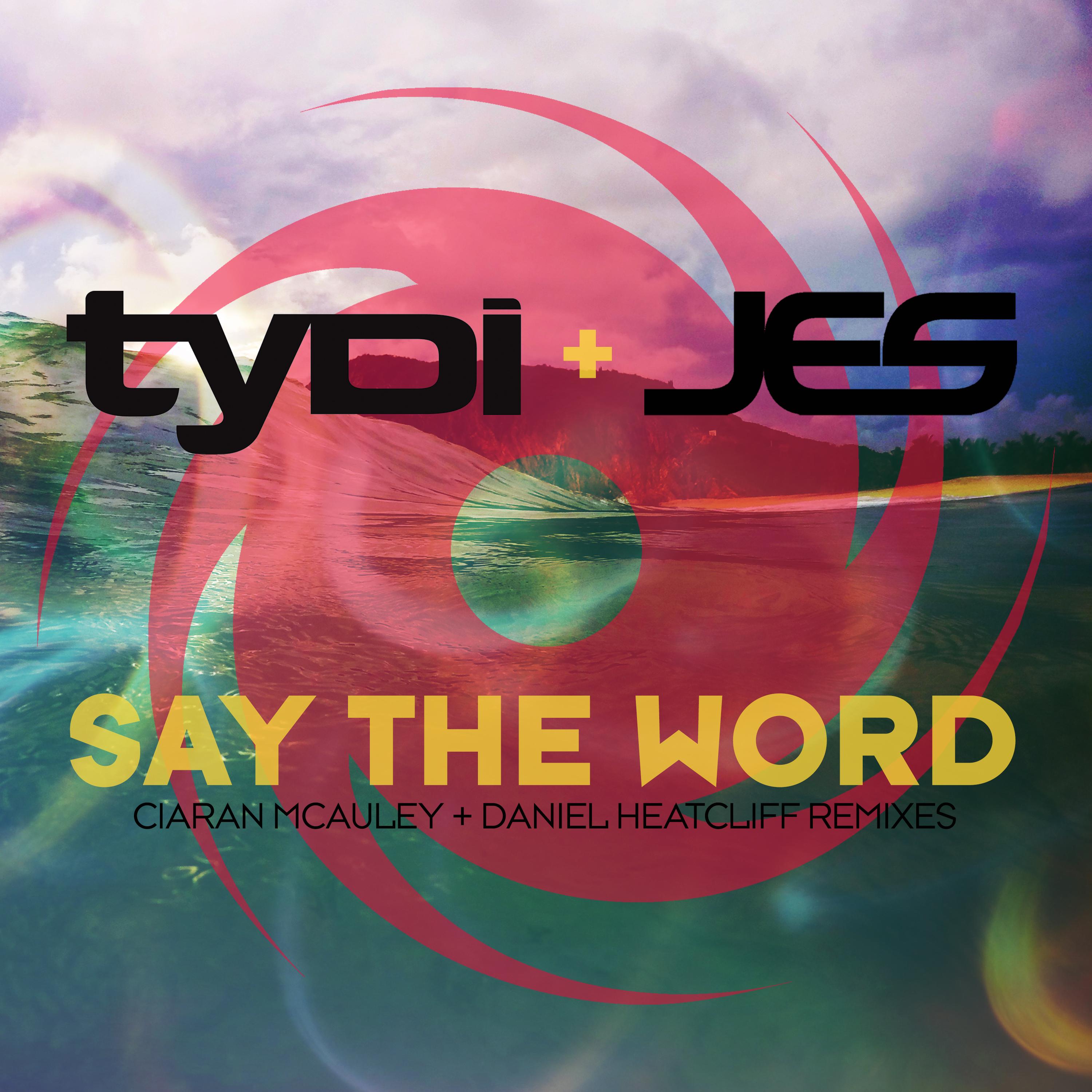 Say The Word (Remixes)