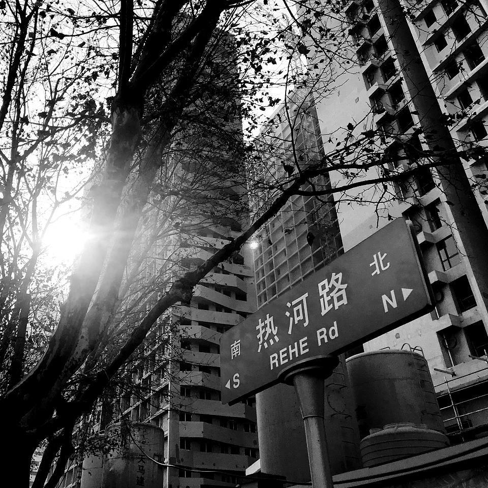 你离开了南京，从此没有人和我说话