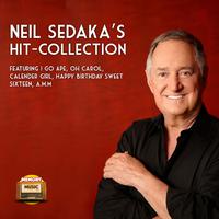 Neil Sedaka - Sweet Little You (karaoke)