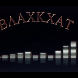 Black cat