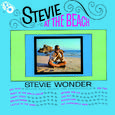 Stevie at the Beach