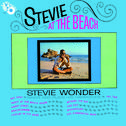 Stevie at the Beach专辑