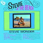 Stevie at the Beach专辑