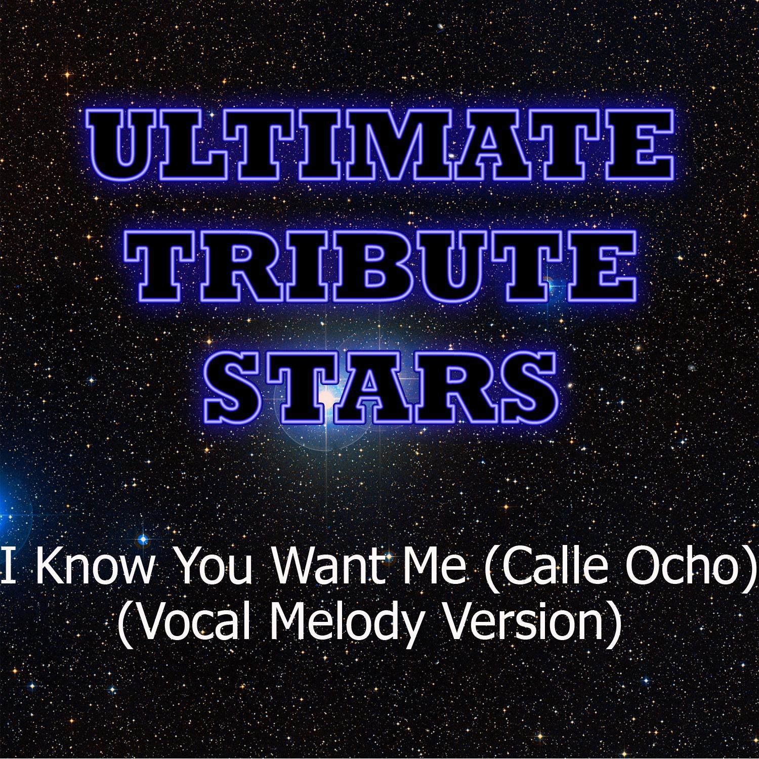 Pitbull - I Know You Want Me (Calle Ocho) (Vocal Melody Version)专辑