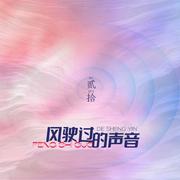 风驶过的声音