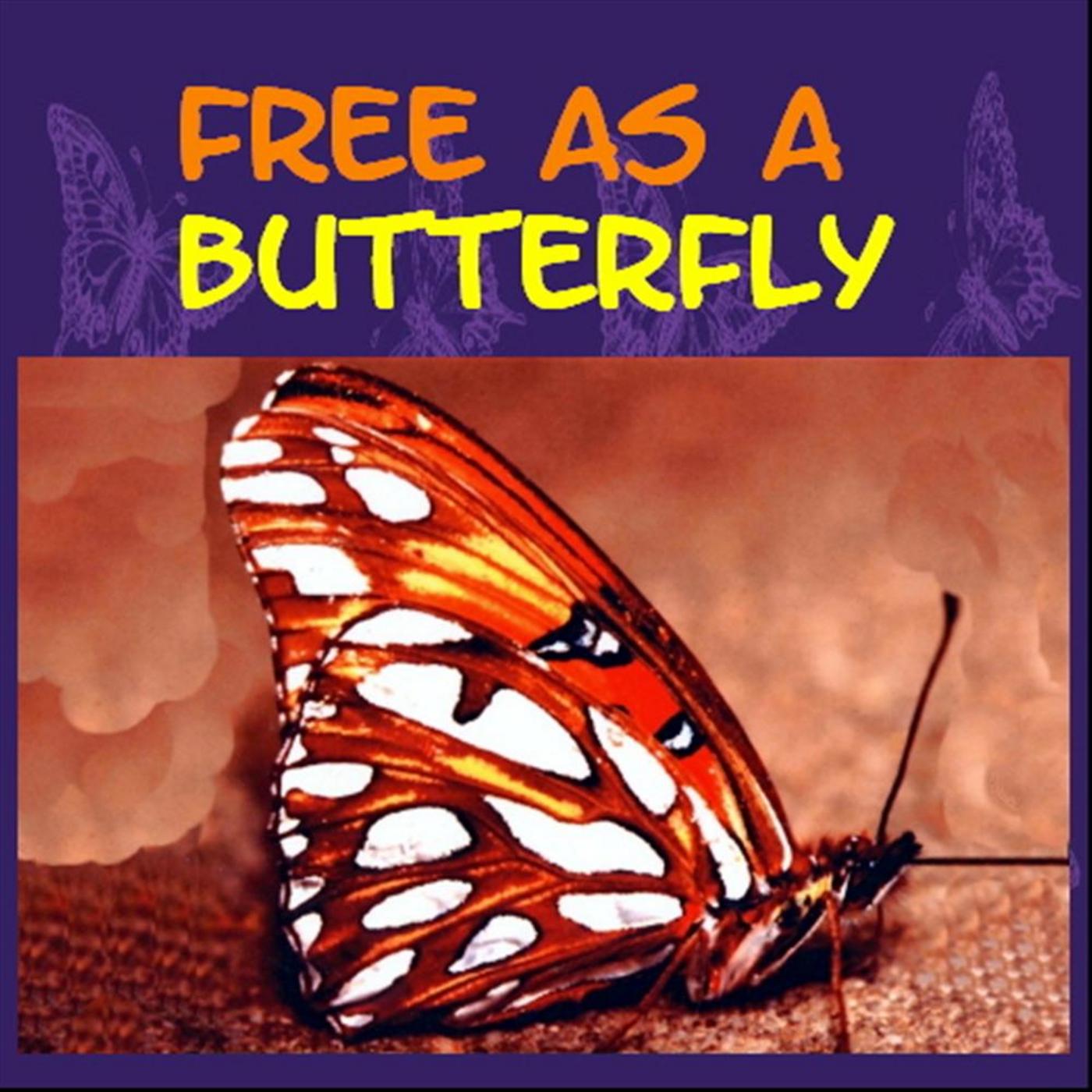 Free As A Butterfly