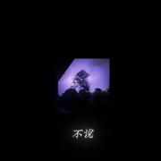 不说