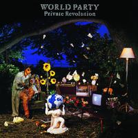 Ship Of Fools - World Party (karaoke Version)