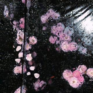 秋夜独白：风起时听未说完的心事