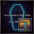 Terror Squad & Like a B**ch (Ada_& Mashup)