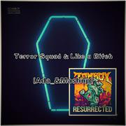 Terror Squad & Like a B**ch (Ada_& Mashup)