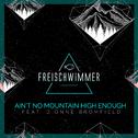Ain't No Mountain High Enough (feat. Dionne Bromfiel) [Remixes]专辑