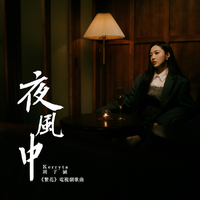 夜风中 Kerryta 鼓力2最好版《繁花》电视剧