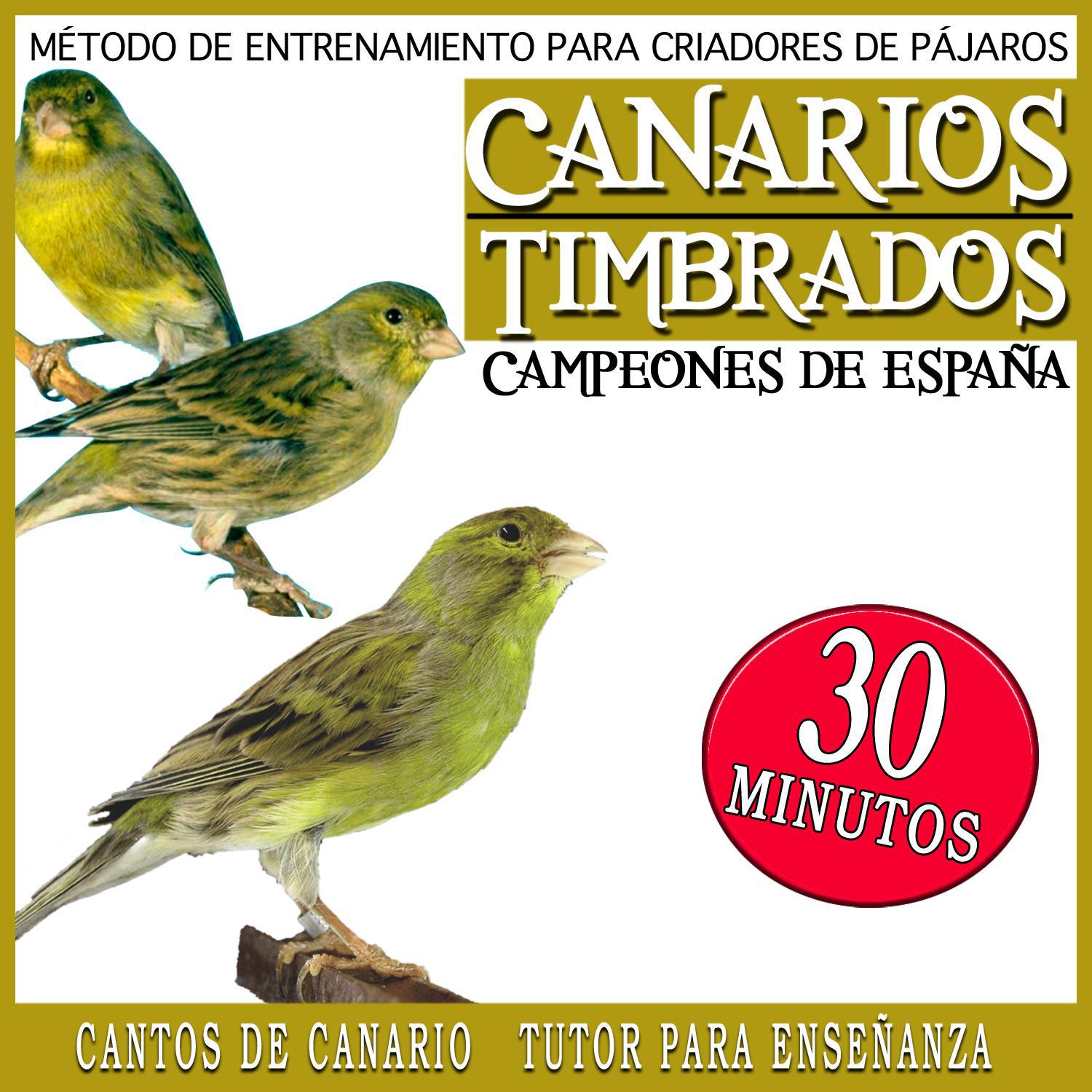 Metodo de Entrenamiento para Criadores de Pajaros Canarios Timbrados Campeones de España, Cantos del专辑