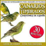 Metodo de Entrenamiento para Criadores de Pajaros Canarios Timbrados Campeones de España, Cantos del