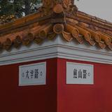 卜卜卜