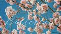 Butterfly专辑
