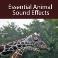 Essential Animal Sound Effects