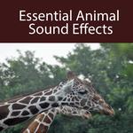 Essential Animal Sound Effects专辑