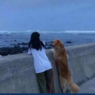 想安静下来听的歌