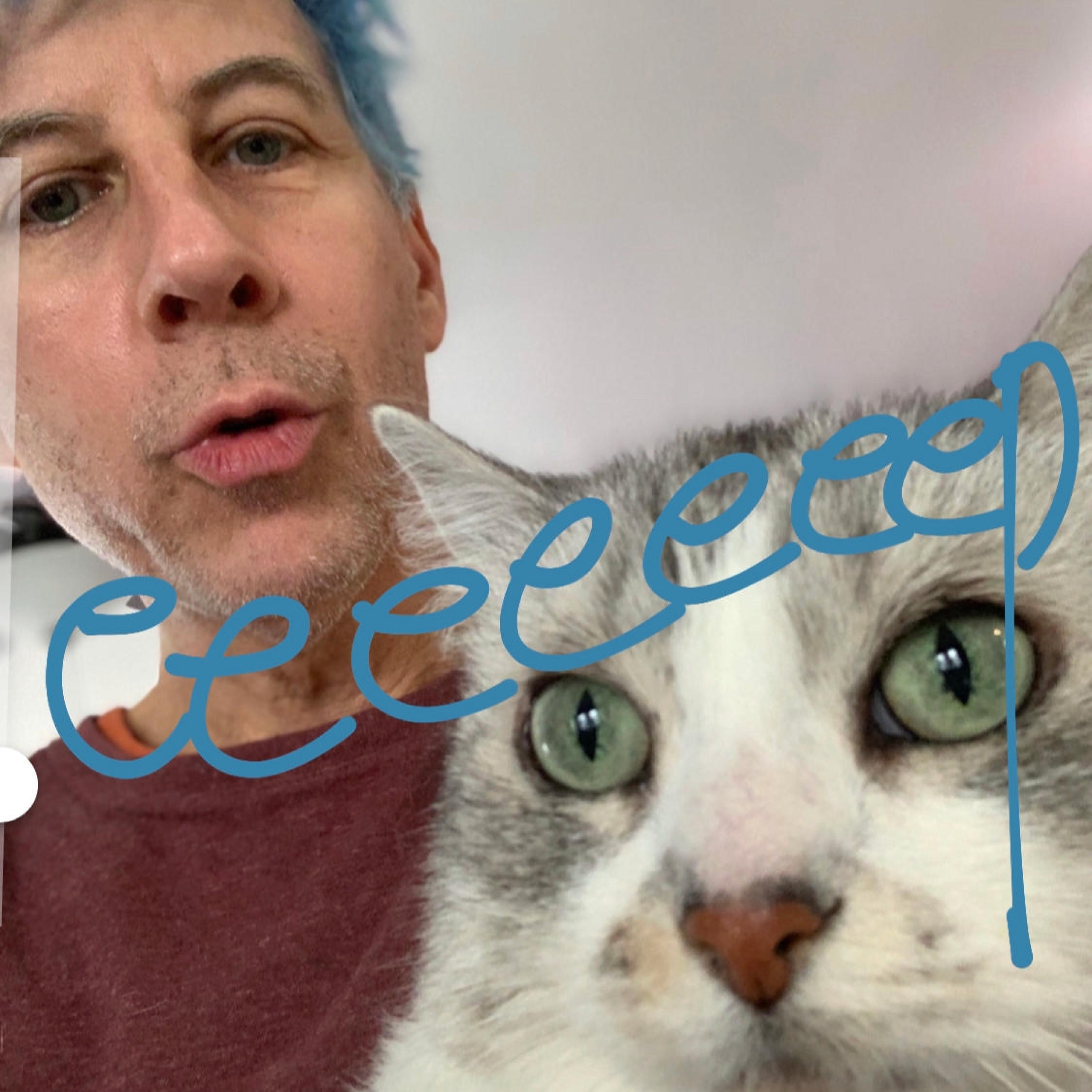 eeeeeeep!