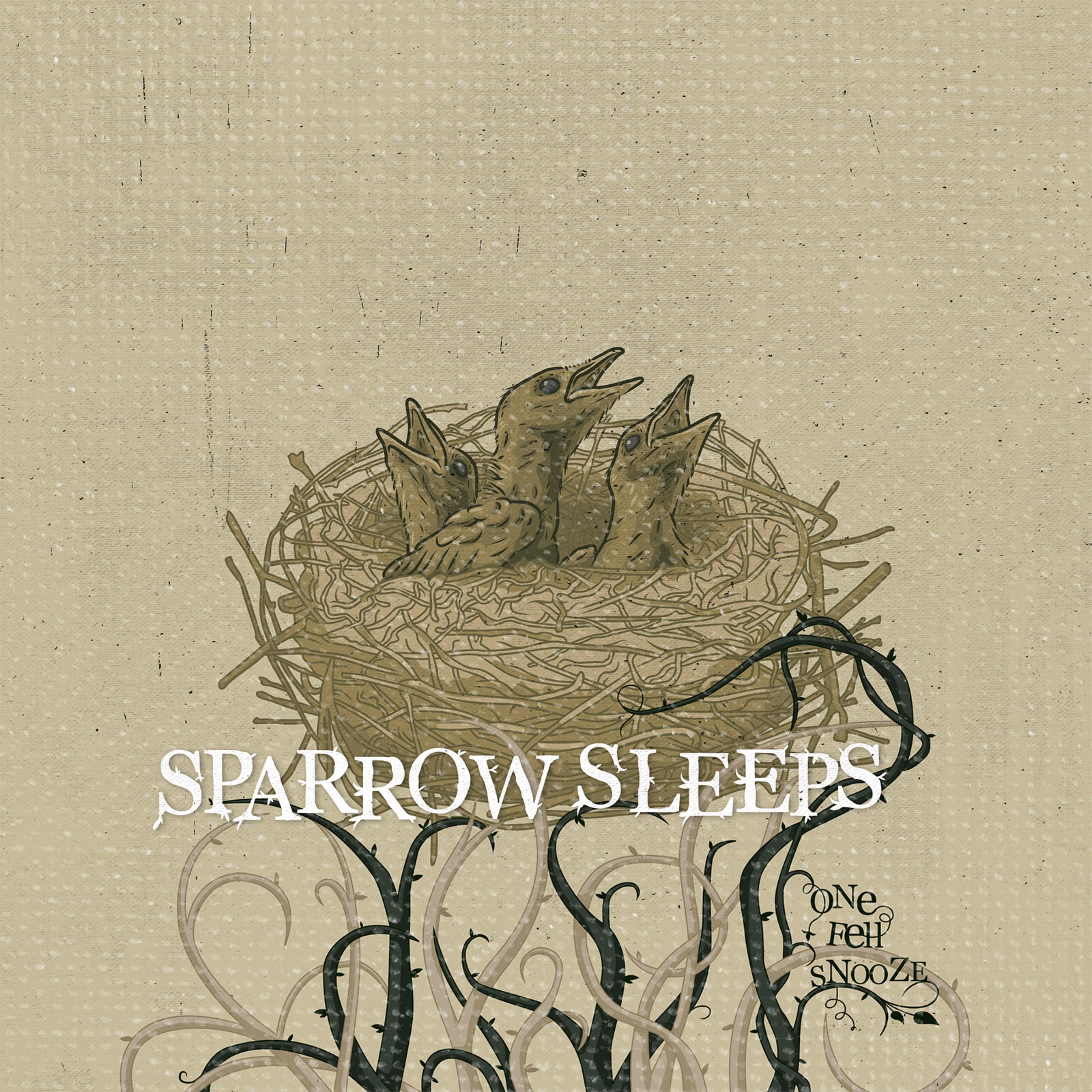 Sparrow Sleeps - The Spill Canvas - All over You