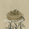 Sparrow Sleeps - The Spill Canvas - The Tide