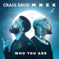 Craig David & MNEK - Who You Are (unofficial Instrumental) 无和声伴奏