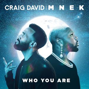 Craig David & MNEK - Who You Are (unofficial Instrumental) 无和声伴奏 （降4半音）