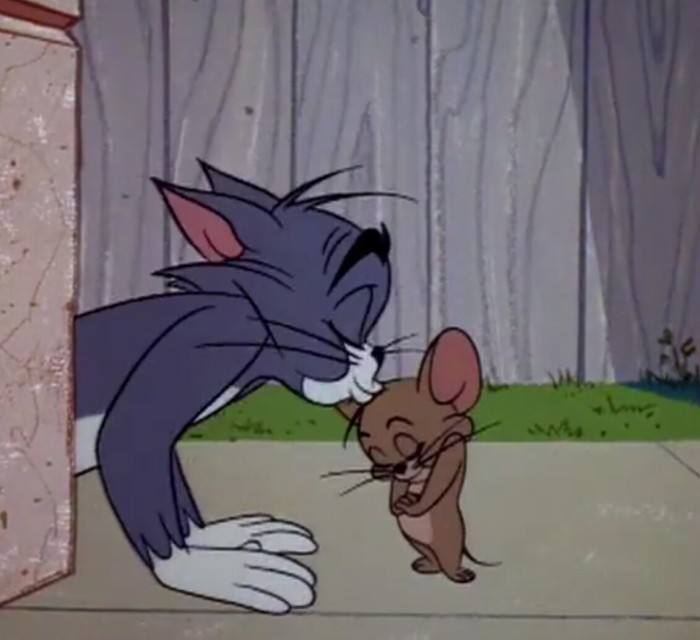 ㅤ ㅤㅤ ㅤㅤ ㅤㅤ ㅤ