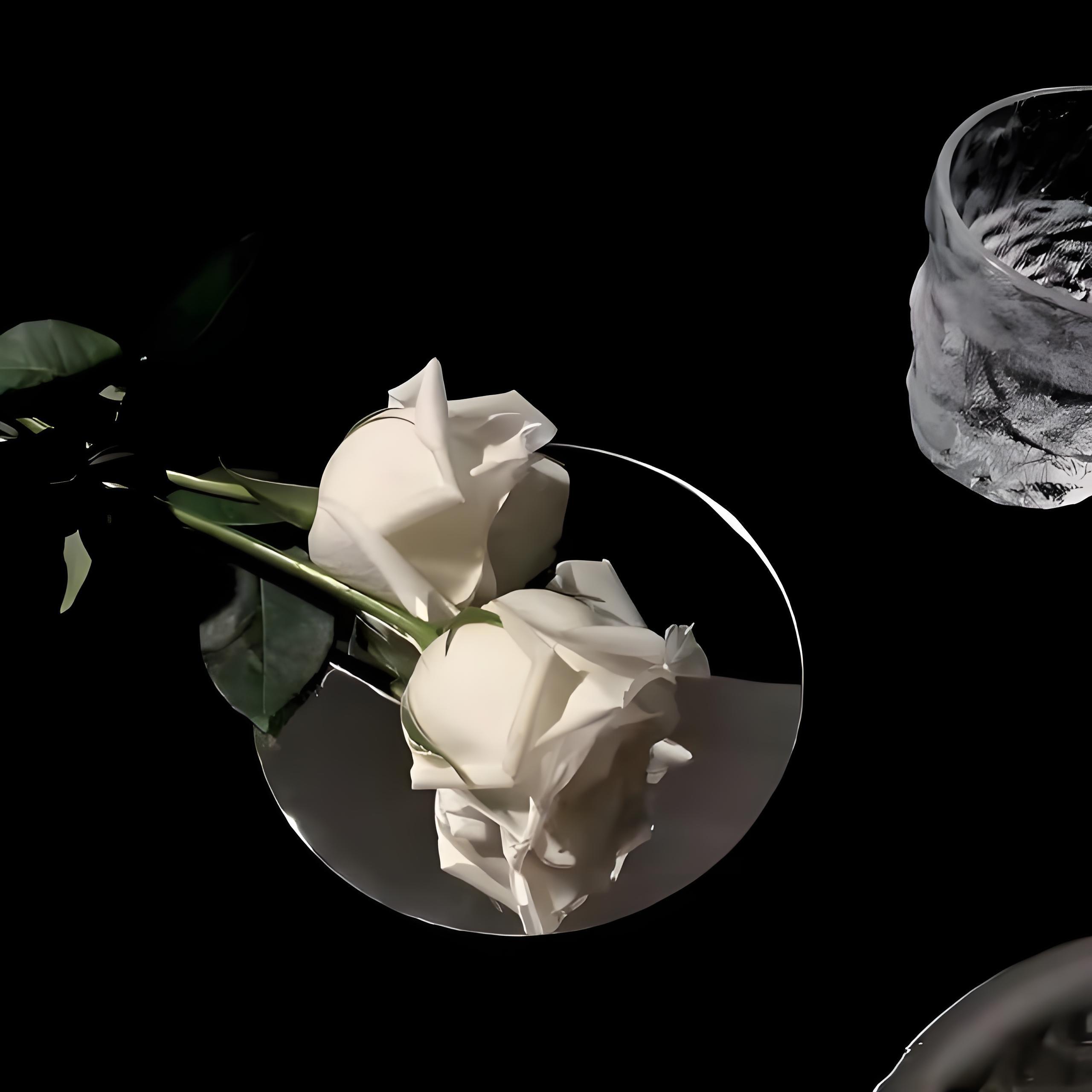 见过花开就好了