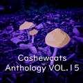 Cashewcats Anthology Vol.15