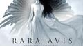 Rara Avis专辑