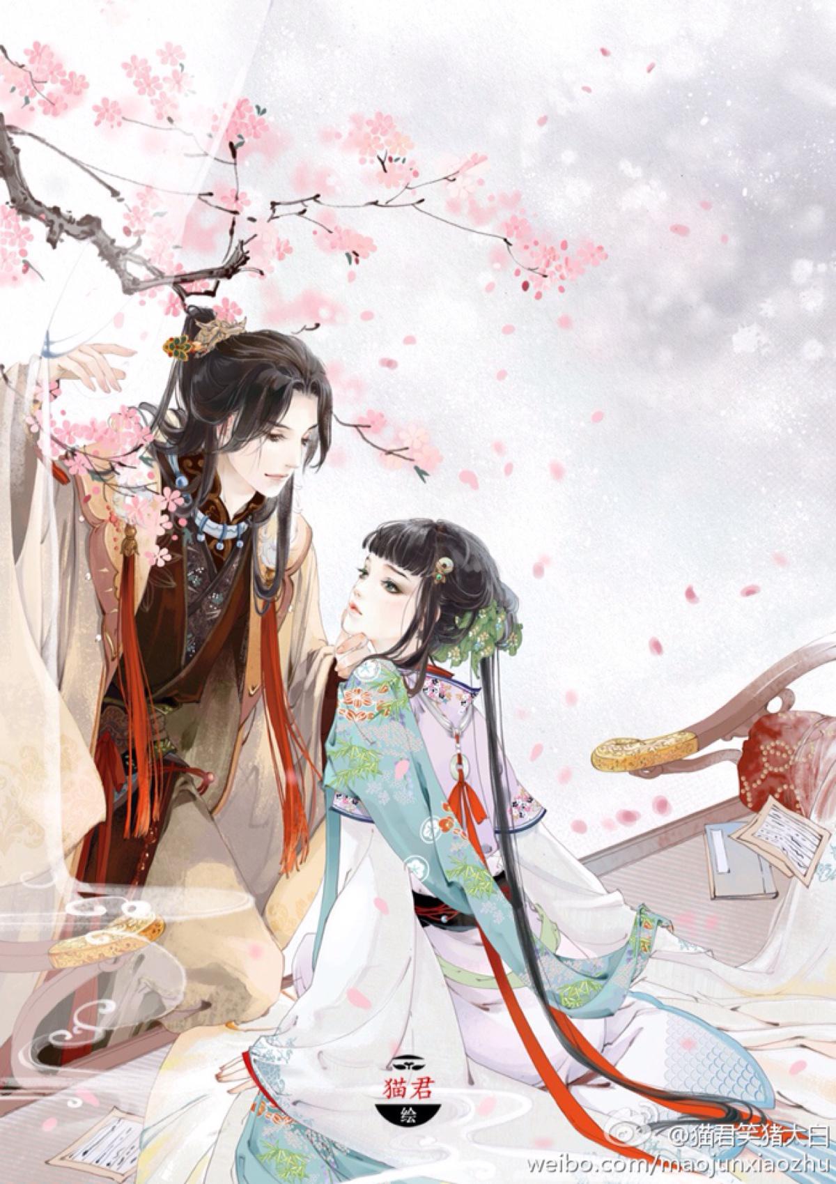柒寒