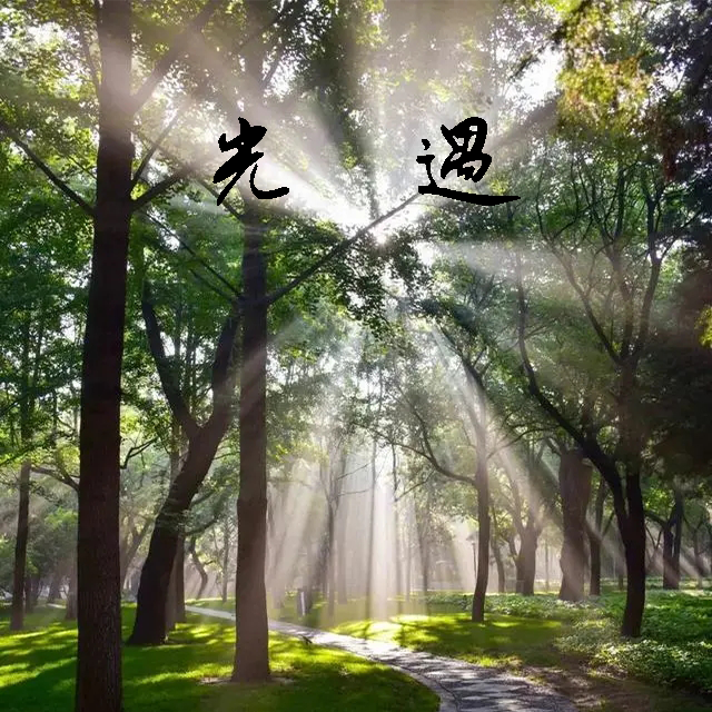光遇